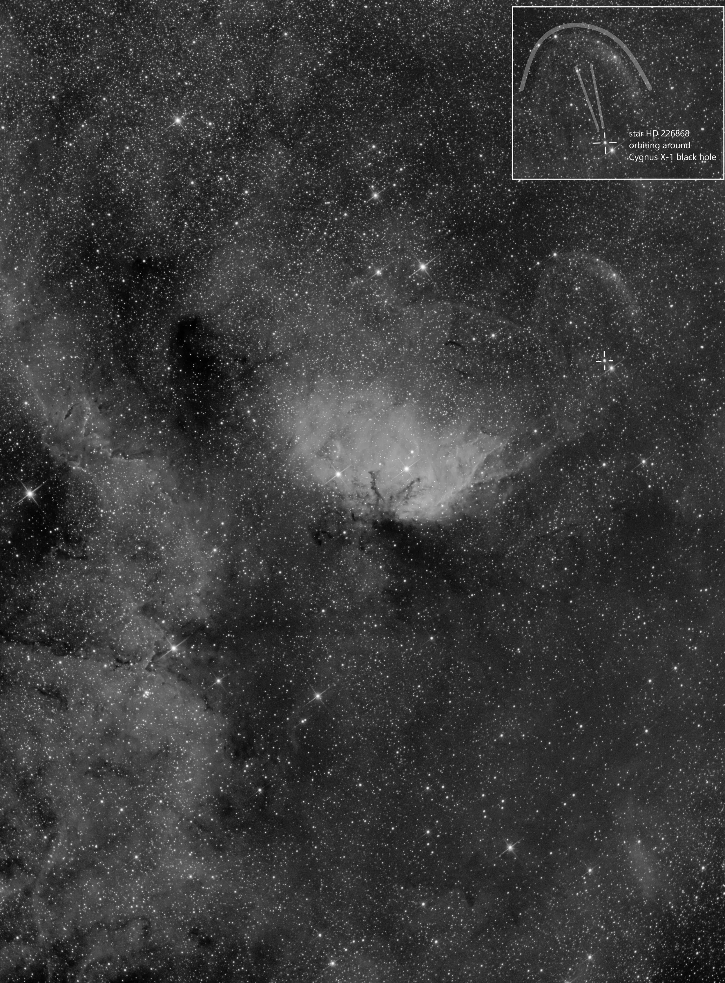 Tulip nebula & Cygnus X-1 black hole jet — AAPOD2.COM